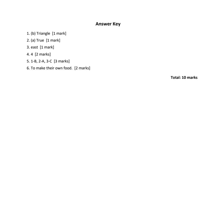 A teacher answer key showing answers and mark totals.